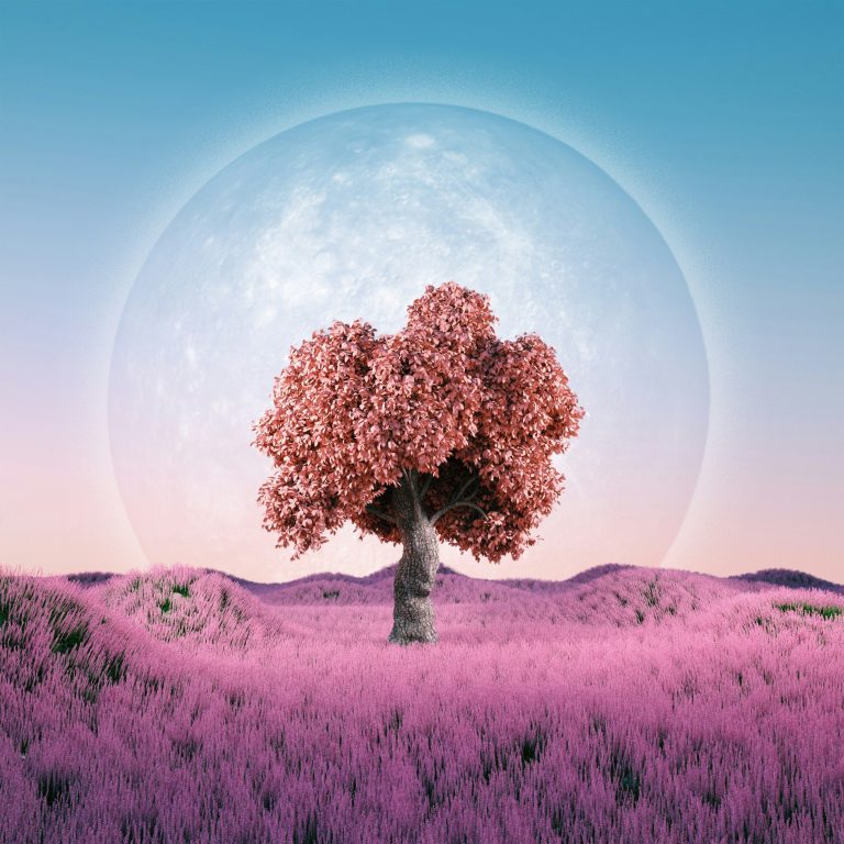 Ein einzelner rosafloriger Baum steht in einer lila Blütenlandschaft unter einem großen Mond.